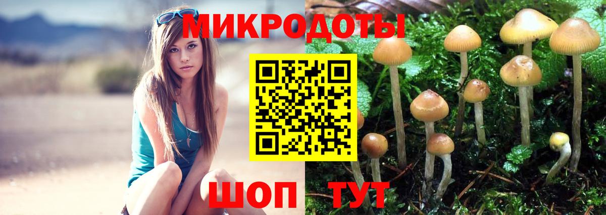 Галлюциногенные грибы ЛСД  Вход с VPN  Галлюциногенные грибы ЛСД  Королёв 